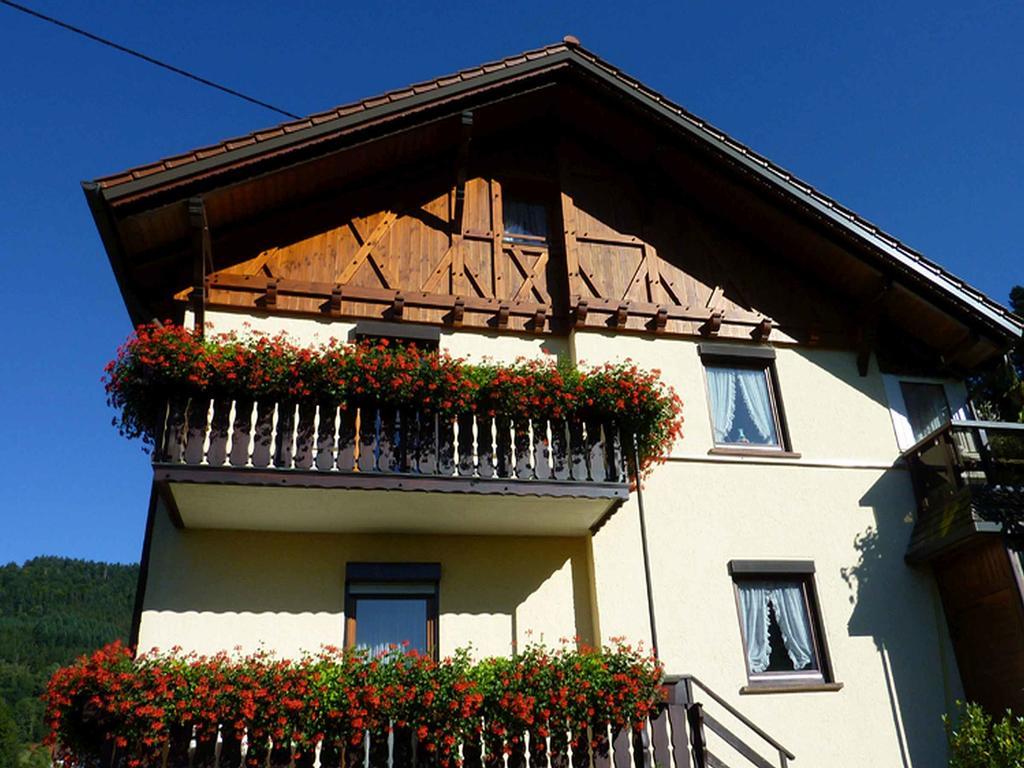Haus Harter Apartman Wolfach Kültér fotó