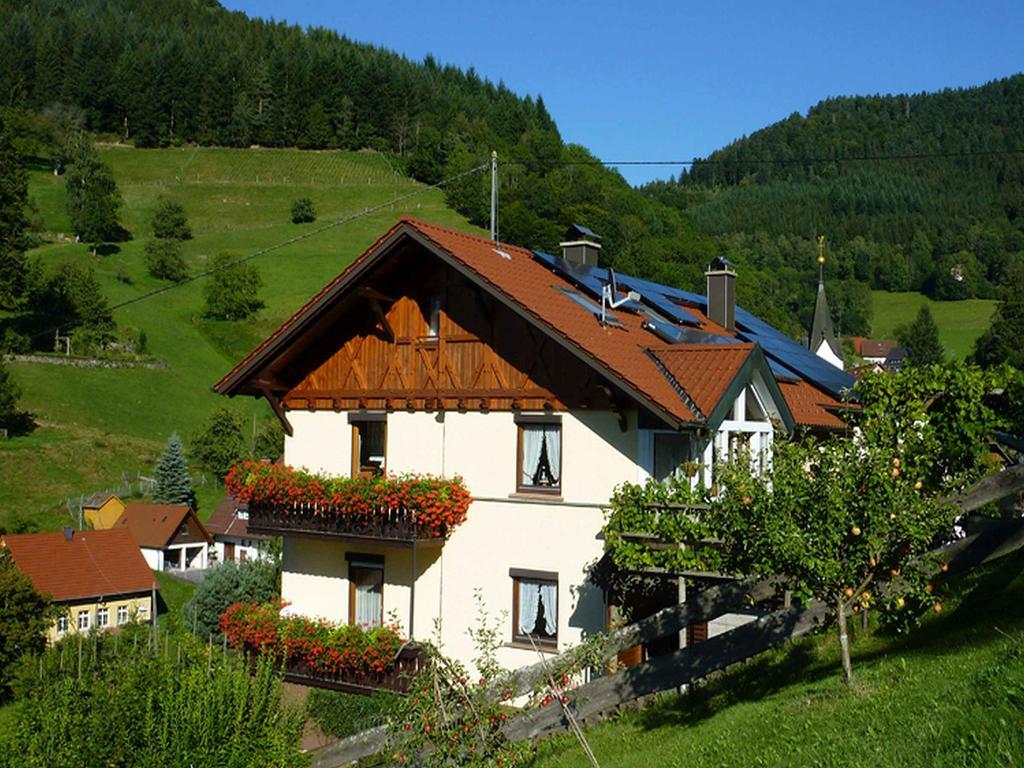 Haus Harter Apartman Wolfach Kültér fotó