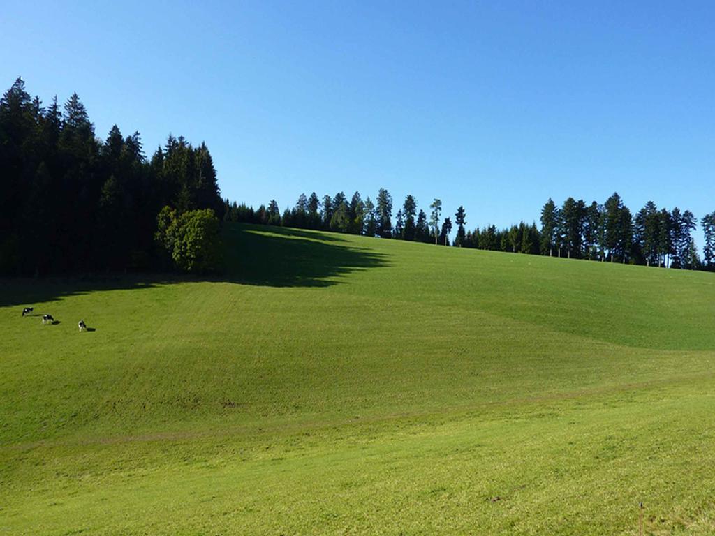 Haus Harter Apartman Wolfach Kültér fotó