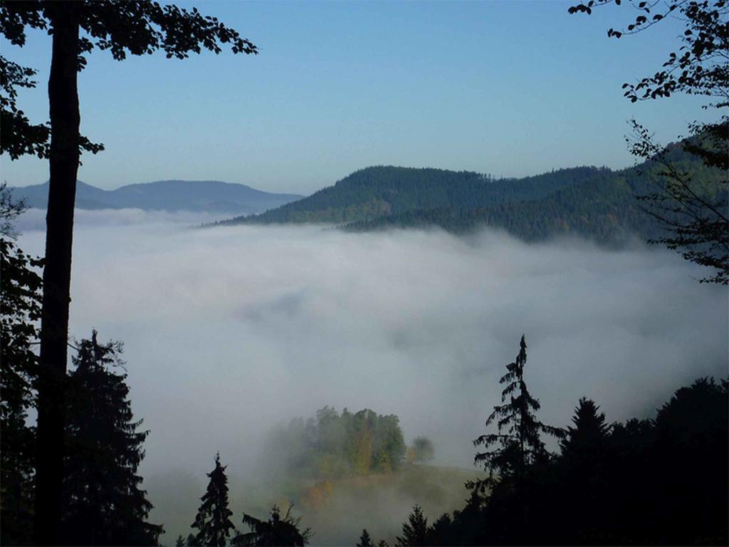 Haus Harter Apartman Wolfach Kültér fotó