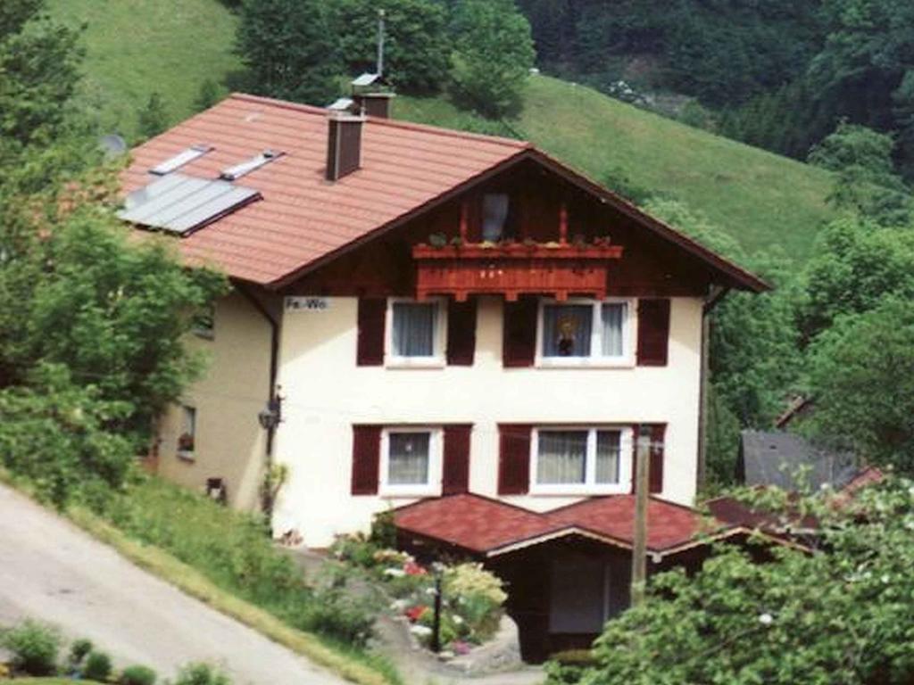 Haus Harter Apartman Wolfach Kültér fotó